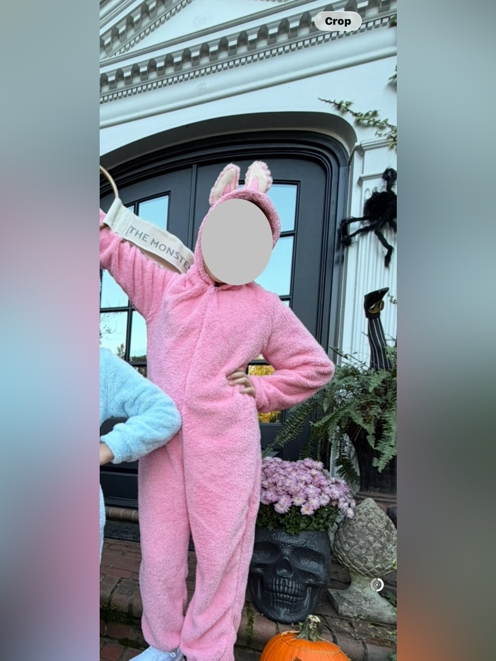 Labubu costume - handmade